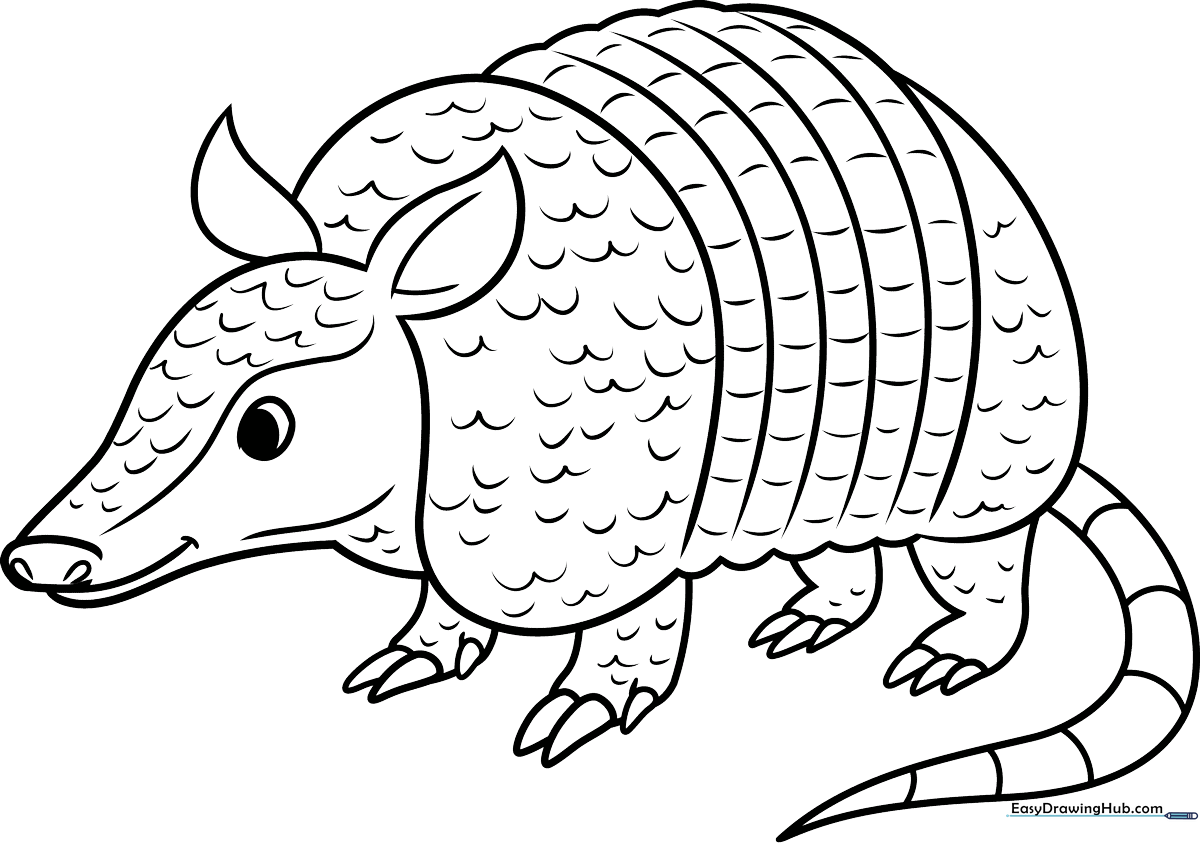 Black and white line art of a cute cartoon armadillo with a detailed segmented shell, ready for coloring on a white background.