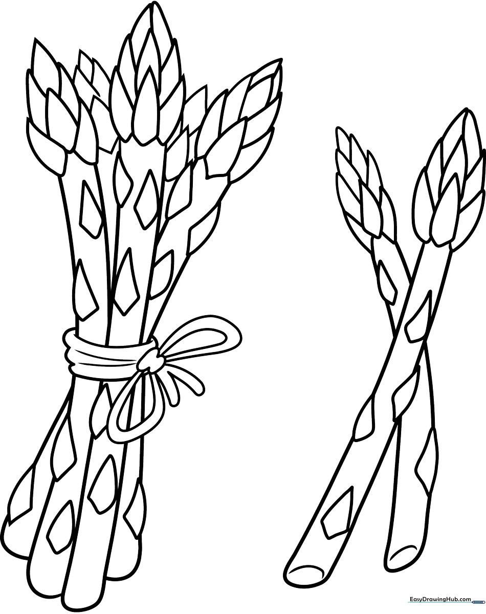 A simple, bold-lined illustration of a single asparagus spear for children to color, featuring a textured tip and smooth stalk.