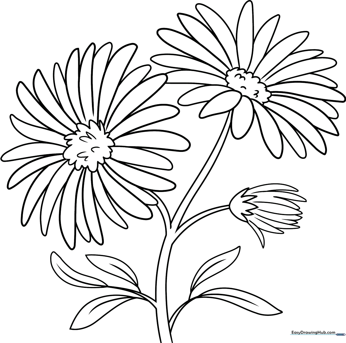 Black and white line art of a blooming Aster flower with detailed petals and leaves, ready for children to color.