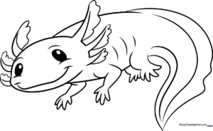 Black and white line art of a cute axolotl with feathery gills, ready for children to color with crayons or markers.