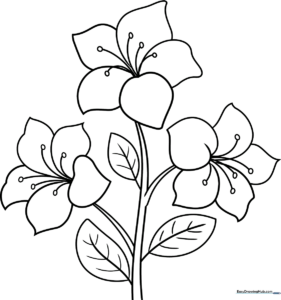 Black and white line art of an Azalea flower with broad, rounded petals and detailed leaves, designed for children to color.