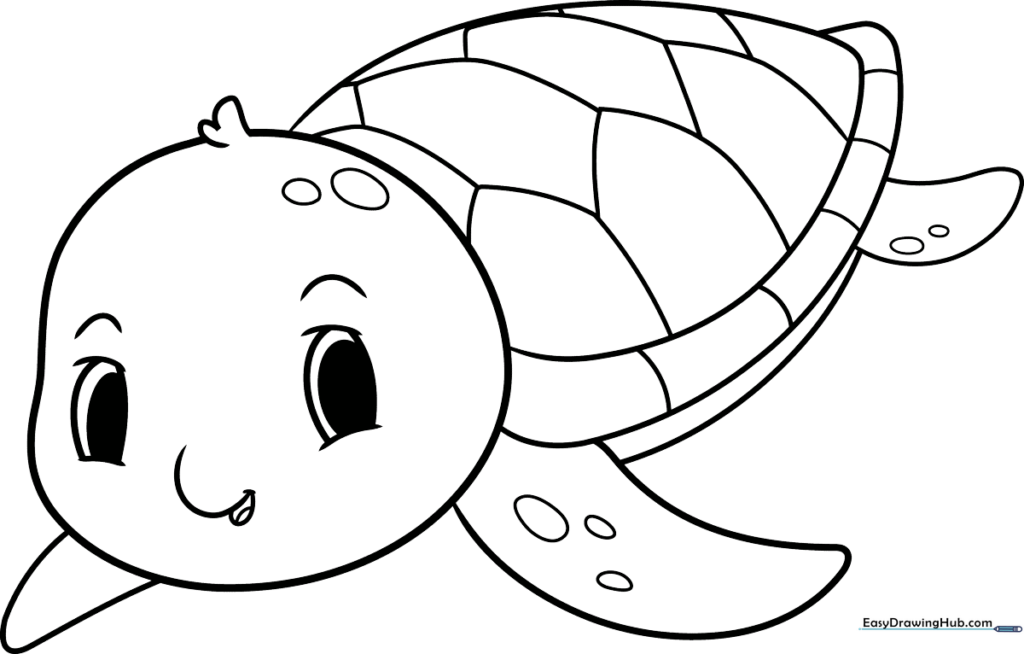 Baby Sea Turtle