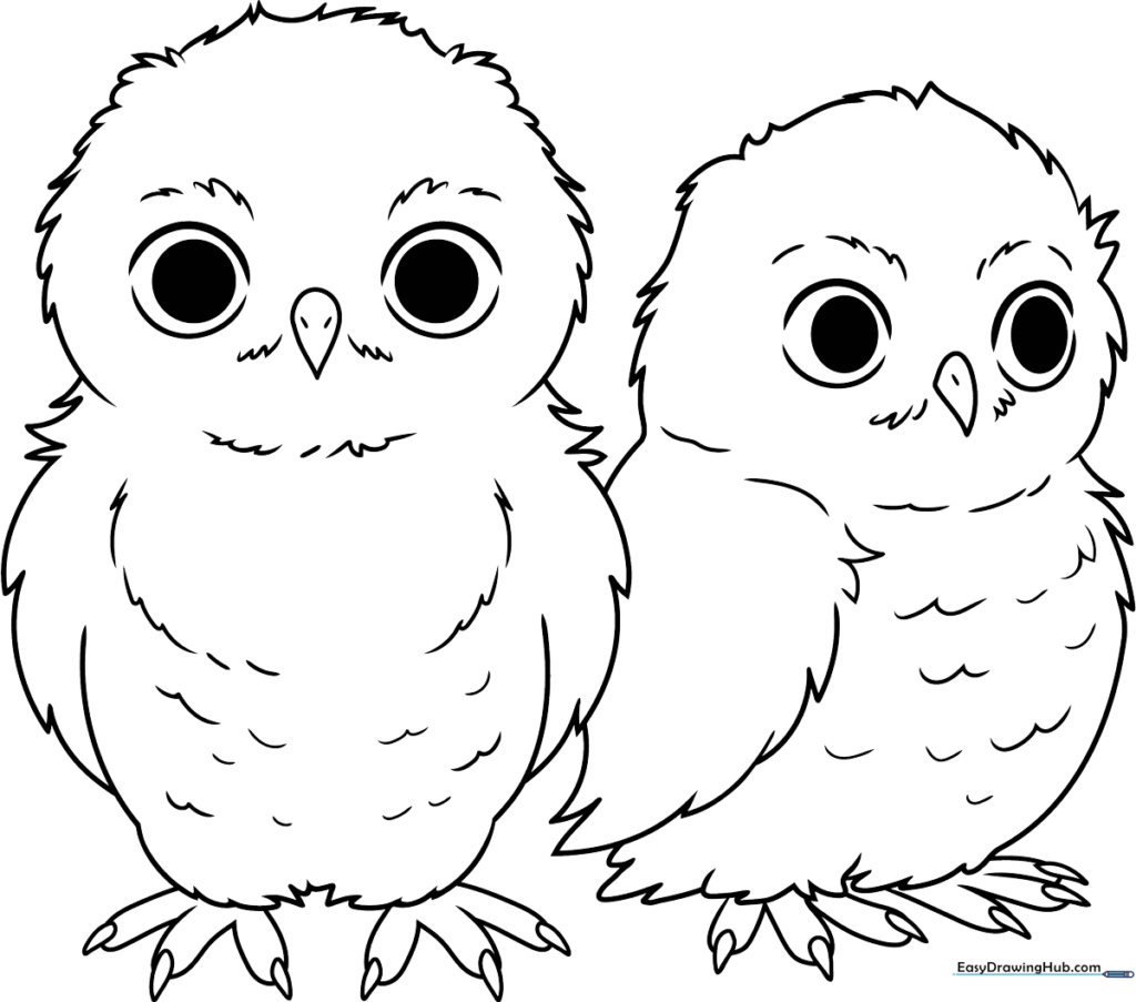 Owl Babies