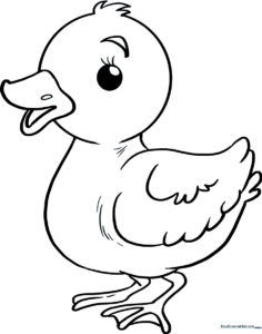 A clean, black-and-white line art illustration of a fluffy baby duckling with large, expressive eyes, designed for children to color.