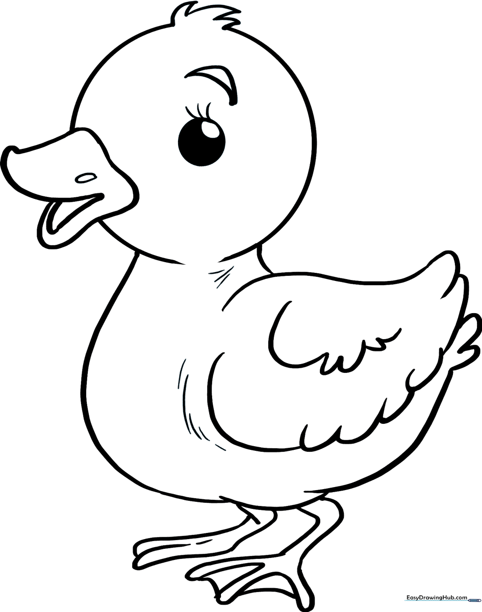 A clean, black-and-white line art illustration of a fluffy baby duckling with large, expressive eyes, designed for children to color.