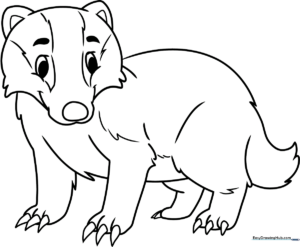 Black and white line art of a friendly badger with distinct facial stripes, ready for children to color.