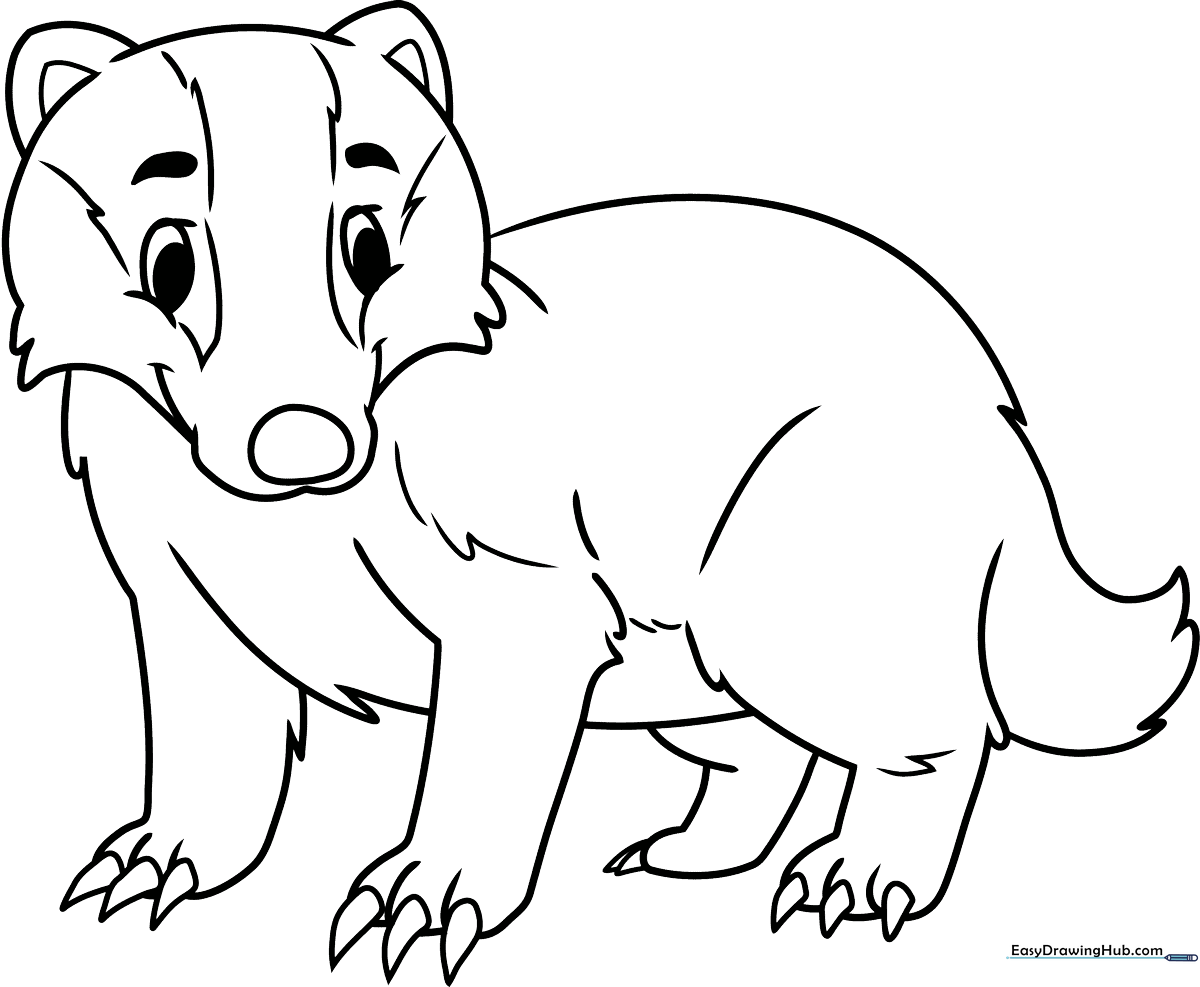 Black and white line art of a friendly badger with distinct facial stripes, ready for children to color.
