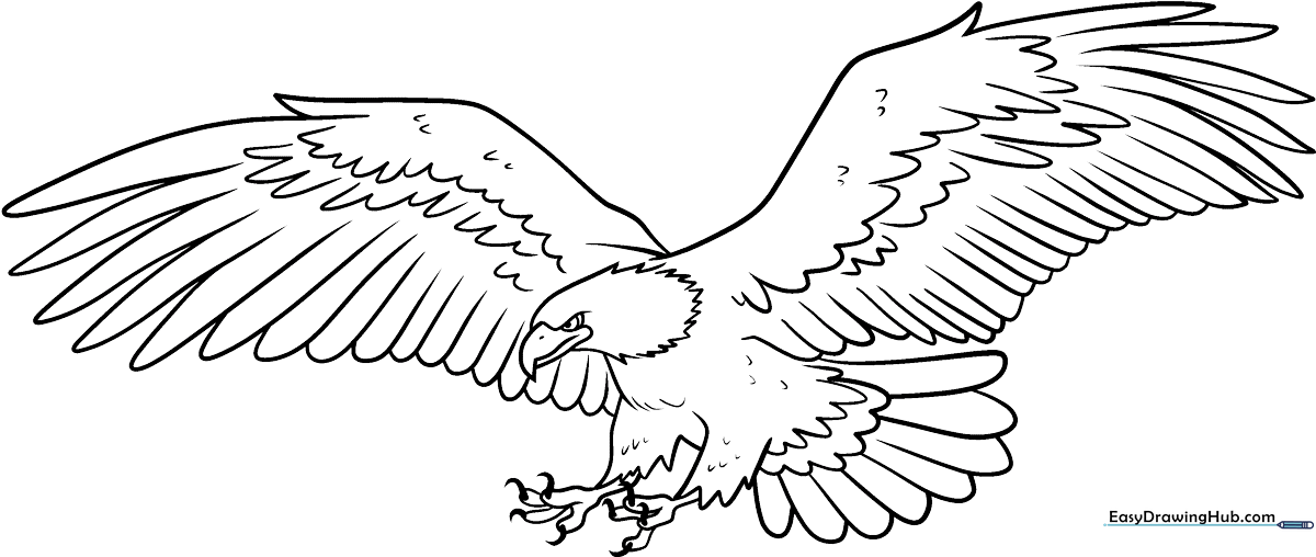 A clean, black-and-white line art illustration of a bald eagle in flight with wings spread wide, featuring clear outlines for easy coloring by children.