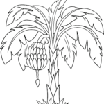 Black and white line art of a banana tree with large, drooping leaves and a central stalk of bananas, ready for children to color.