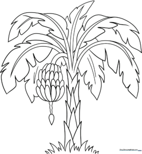 Black and white line art of a banana tree with large, drooping leaves and a central stalk of bananas, ready for children to color.