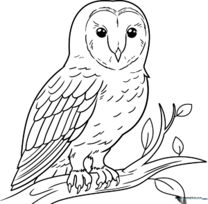 Black and white line art of a friendly barn owl with large expressive eyes, ready for children to color with markers or crayons.