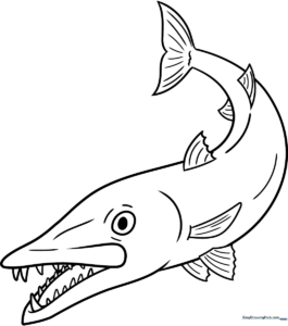 Black and white line art of a barracuda swimming, featuring clear outlines for easy coloring and educational ocean-themed art practice.