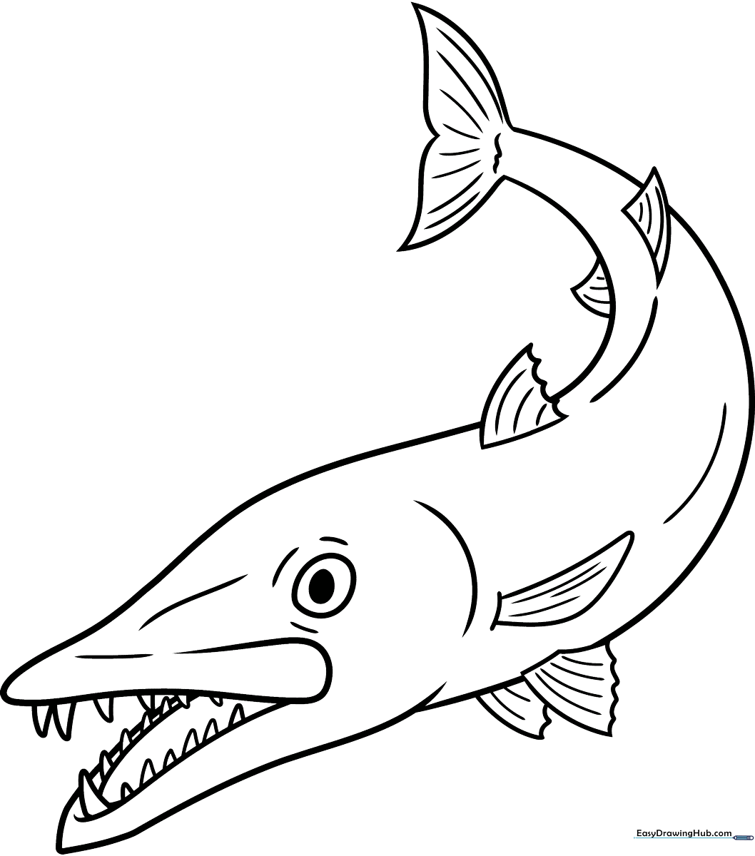 Black and white line art of a barracuda swimming, featuring clear outlines for easy coloring and educational ocean-themed art practice.