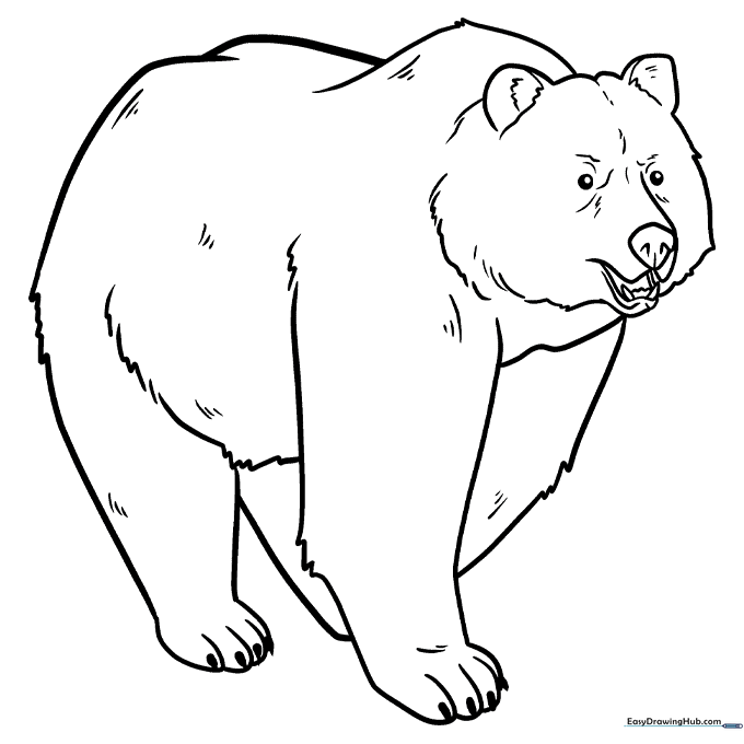 Bear Coloring Sheet