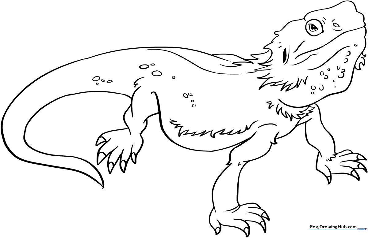 Black and white line art of a friendly bearded dragon with distinct scales, ready for children to color.
