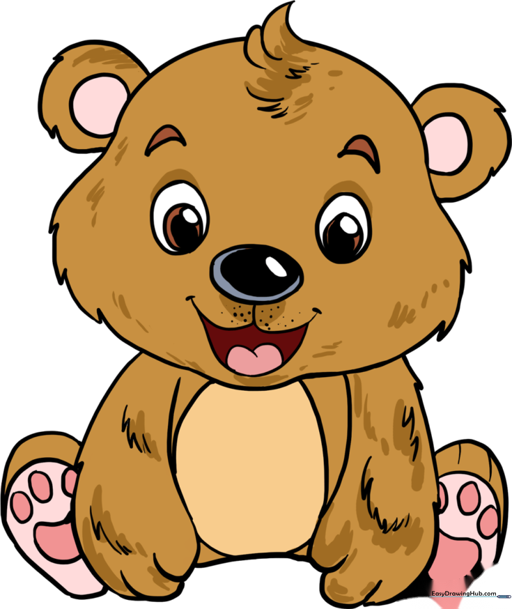Baby Bear Cub