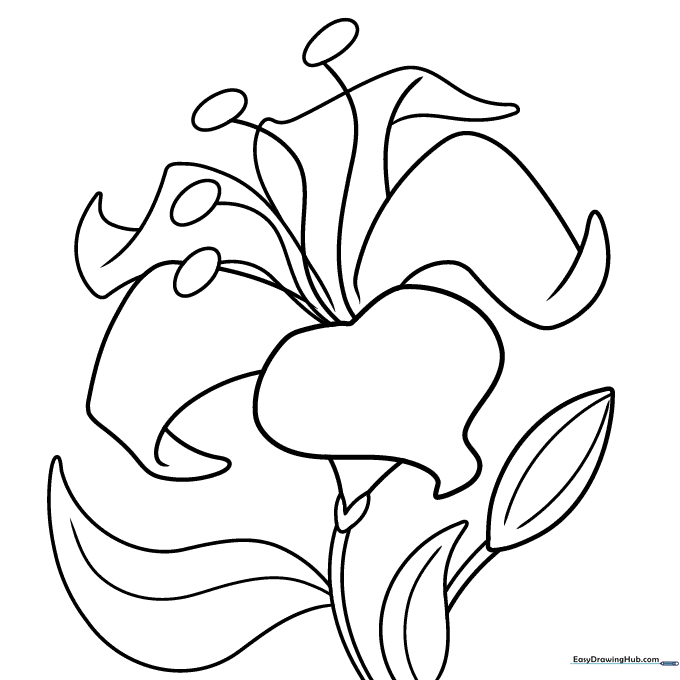 Black and white line art of a blooming flower with large, rounded petals and a central stamen, designed for children to color.