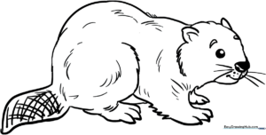 A clean, black-and-white line art illustration of a friendly beaver with a flat tail, designed for children to color.