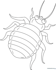 A friendly, cartoon-style bed bug with large eyes and rounded legs, outlined in bold black lines for easy coloring by children.
