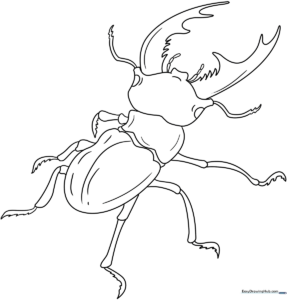 Black and white line art of a friendly cartoon beetle with large eyes and distinct wing covers, ready for coloring.