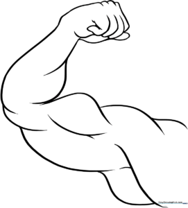 A clean, bold line art illustration of a flexed bicep muscle, designed for children to color and learn about human anatomy.