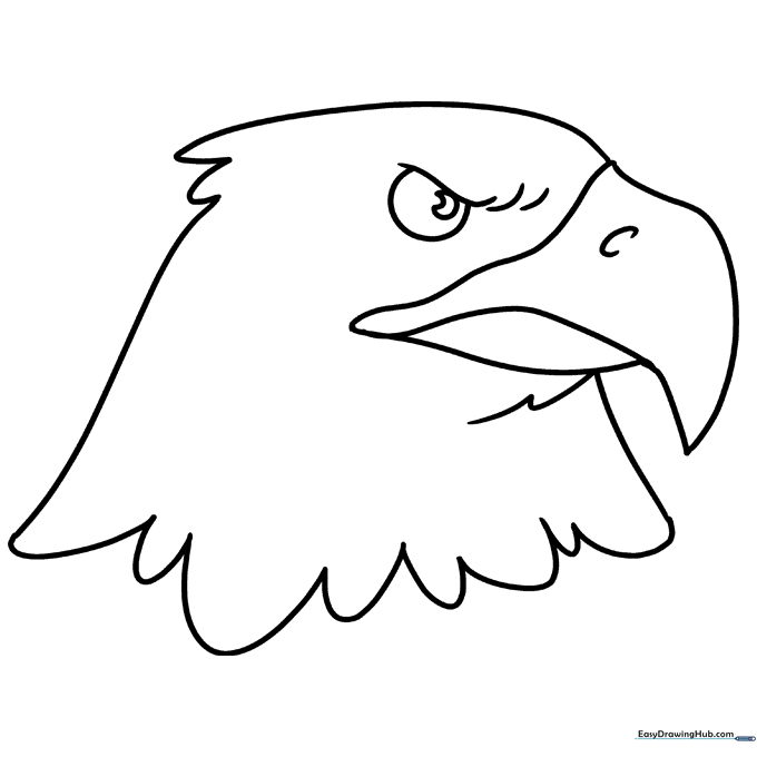 Majestic Eagle Head