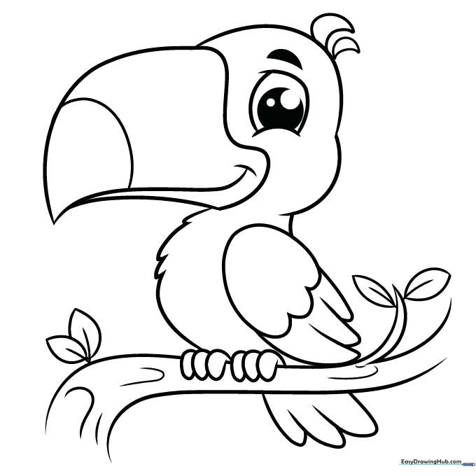 Tropical Toucan