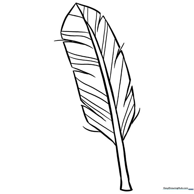 Detailed Feather