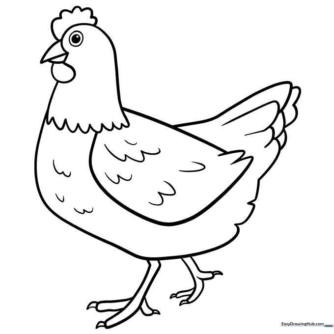 Barnyard Chicken