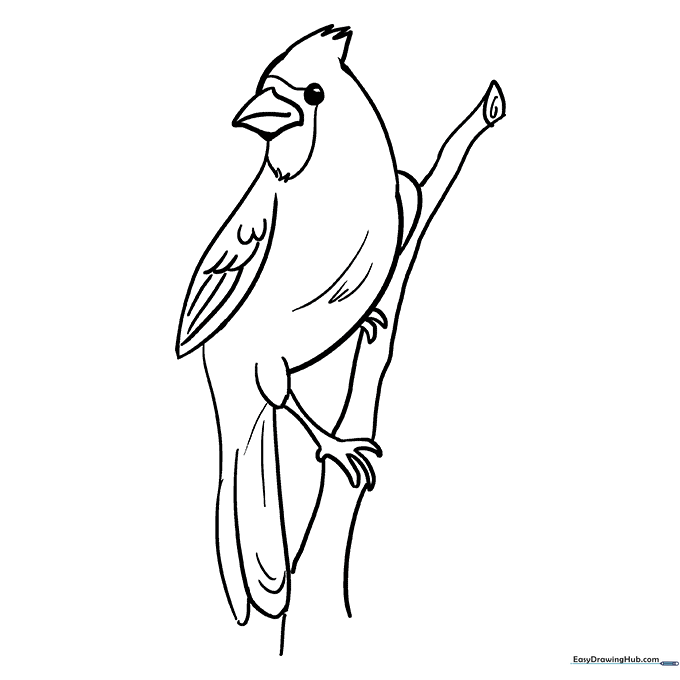 Bright Cardinal