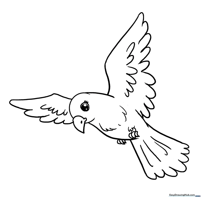 Classic Bird