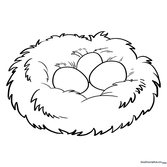 Cozy Bird Nest