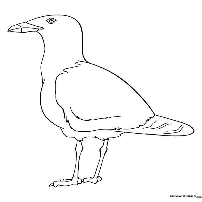 Seagull by the Sea