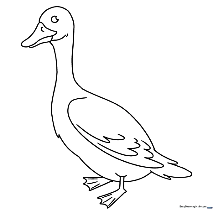 Friendly Goose
