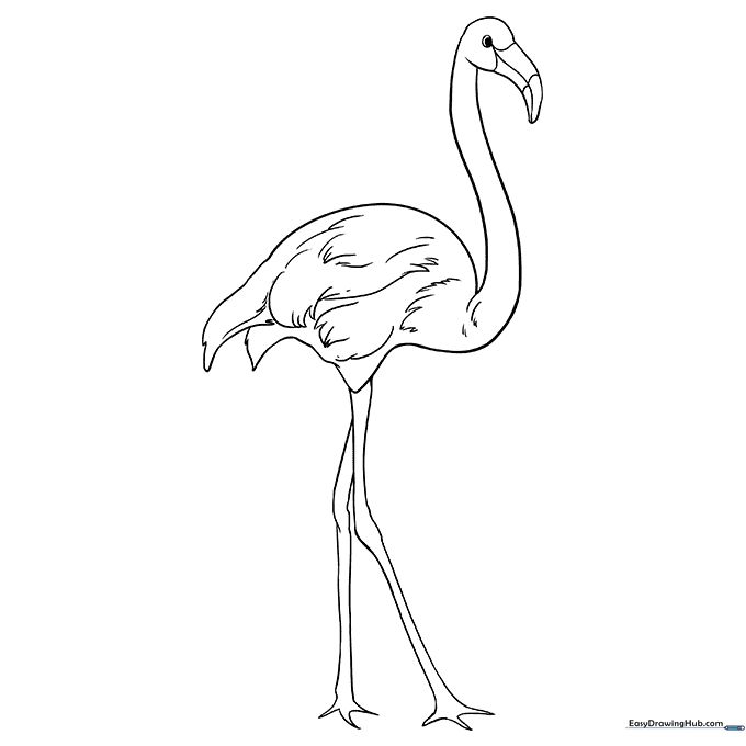 Elegant Flamingo