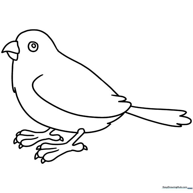 Little Sparrow