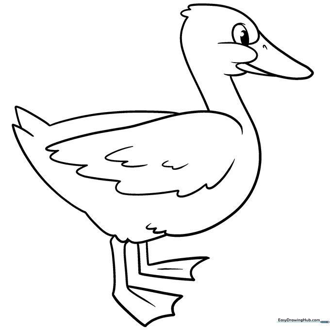 Classic Duck