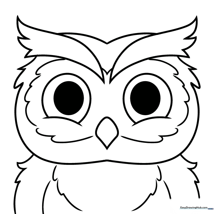 Wise Owl Face