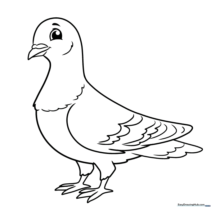 Pigeon Coloring Sheet