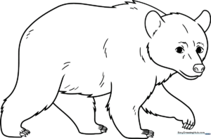 A friendly cartoon black bear with bold outlines, designed for children to color with crayons or markers to practice staying within the lines.