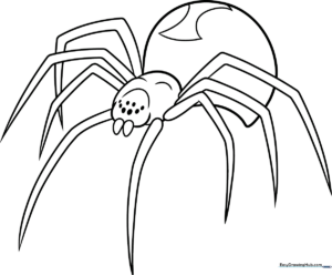 A clean, bold-lined coloring page of a friendly Black Widow spider with a distinct hourglass marking on its abdomen, designed for easy coloring by children.