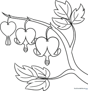 Black and white line art of a Bleeding Heart flower with heart-shaped petals and delicate hanging stems, designed for children to color.