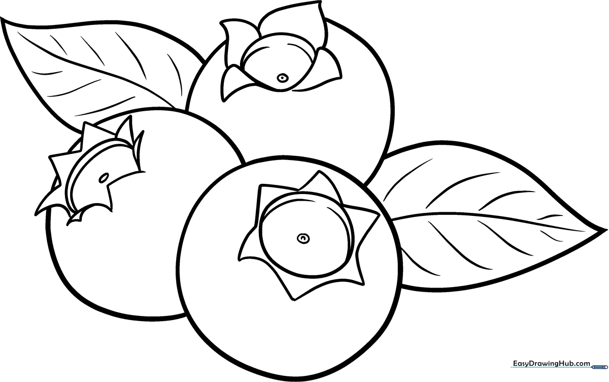 A simple black and white line drawing of a plump blueberry with a small stem and leaf, designed for children to color.