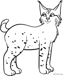 A friendly cartoon bobcat with large ears and a short tail, featuring thick, clean outlines perfect for children to color.
