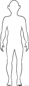A clean, black-and-white line drawing of a human figure silhouette, ideal for educational anatomy activities or creative coloring projects.