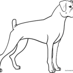 Black and white line art of a happy Boxer dog with floppy ears, designed for children to color with markers or crayons.
