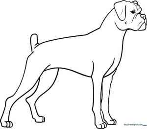 Black and white line art of a happy Boxer dog with floppy ears, designed for children to color with markers or crayons.