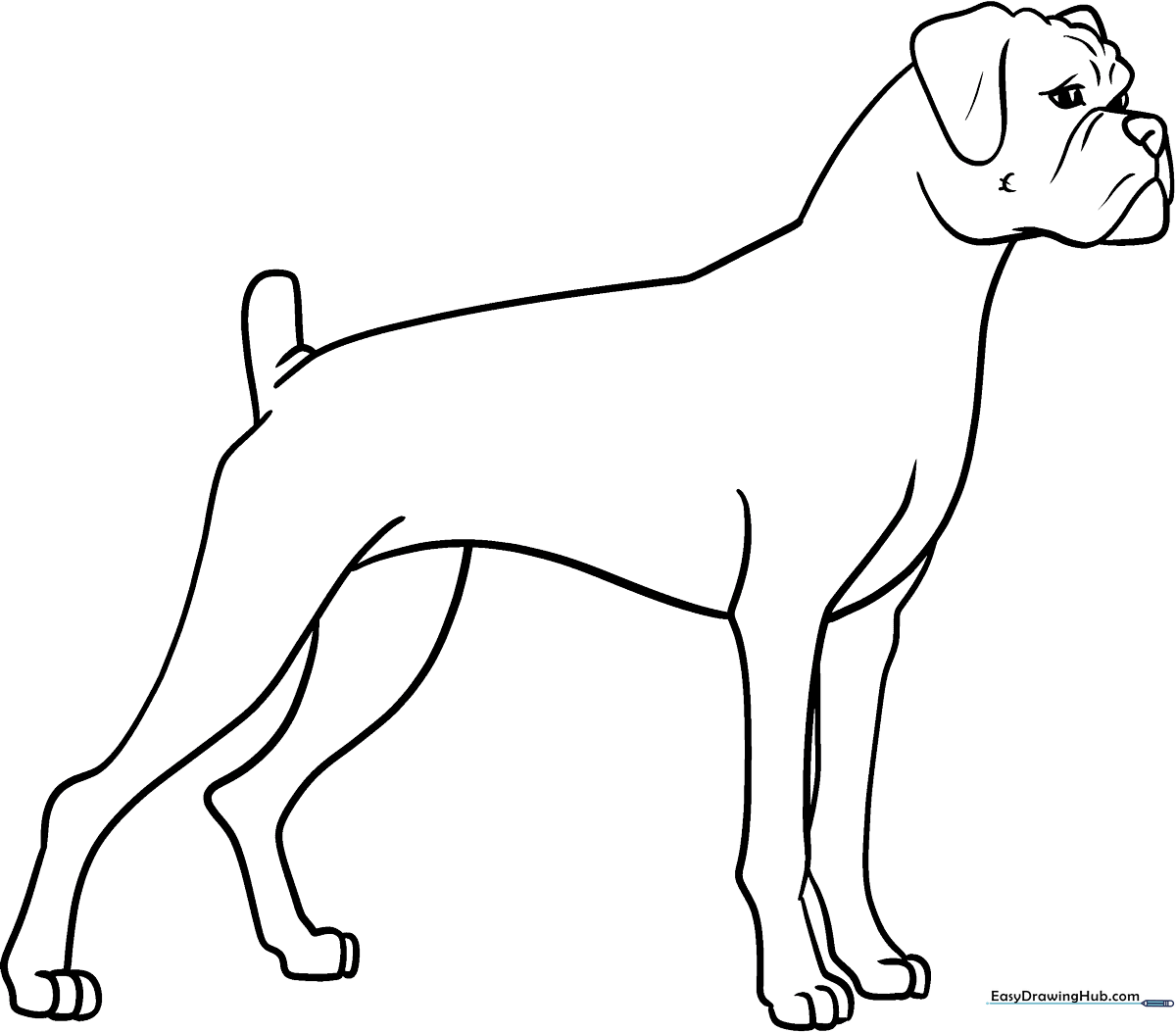Black and white line art of a happy Boxer dog with floppy ears, designed for children to color with markers or crayons.