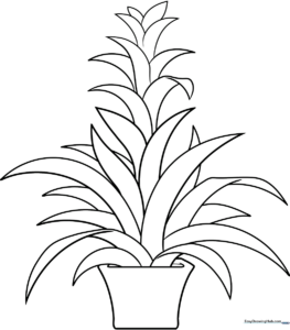 Black and white line art of a potted Bromeliad plant with wide, pointed leaves and a central flower spike for children to color.
