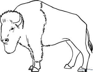 A clean, black-and-white line art illustration of a buffalo standing in profile, featuring bold outlines perfect for young children to color.
